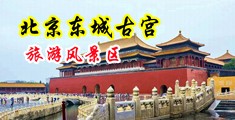 肥逼12p中国北京-东城古宫旅游风景区